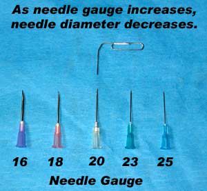 Choosing and Buying Needles – Feline Disease Management